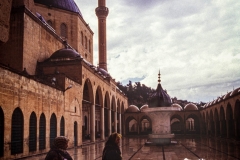 Urfa