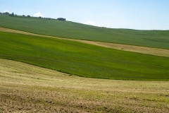 Italian Countryside