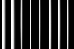 SF Blinds